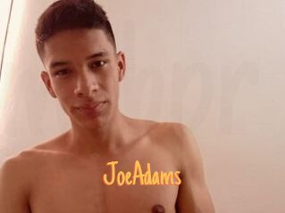 JoeAdams Mobile Porno