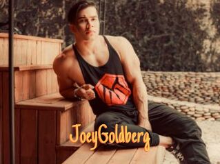 JoeyGoldberg