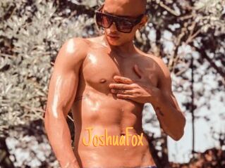 JoshuaFox
