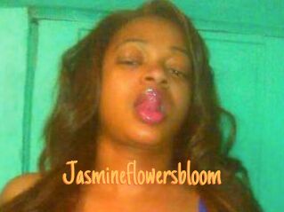 Jasmineflowersbloom