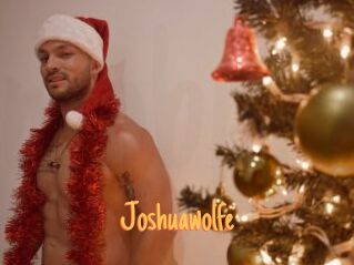 Joshuawolfe