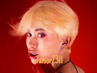 Junior2311