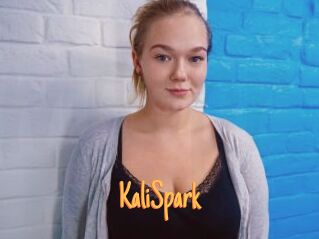 KaliSpark