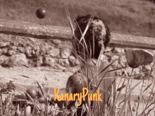 KanaryPunk