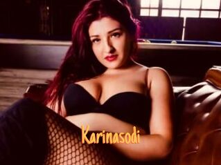 Karinasodi Mobile Porno