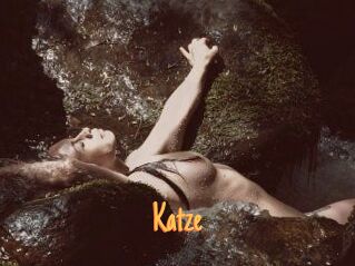 Katze