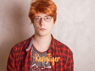 KevinTiger
