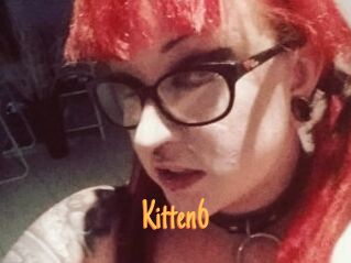 Kitten6