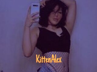 KittenAlex