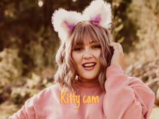 Kitty_cam