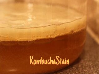 KombuchaStain