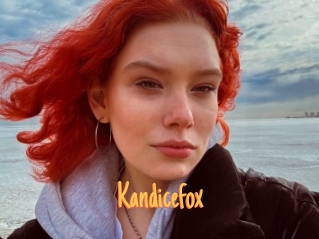 Kandicefox