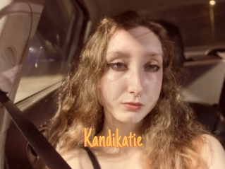 Kandikatie