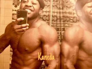 kaneda Mobile Porno
