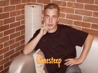 Kanesteep