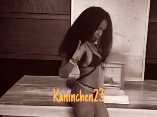 Kaninchen23