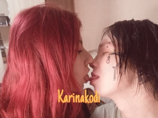 Karinakodi