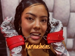 Karinasheins