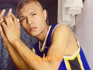 King_david_hot