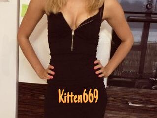 Kitten669