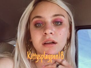 Kittysplaypen18