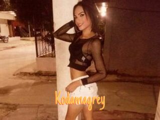 Kodamagrey