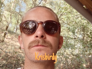 Krisbirdy