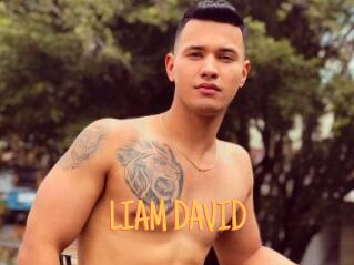 LIAM_DAVID Mobile Porno