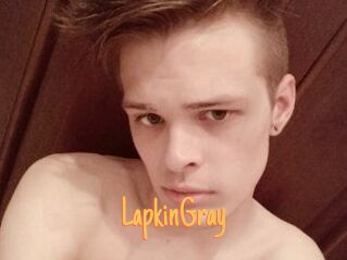 LapkinGray