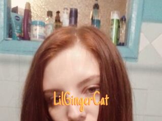 LilGingerCat