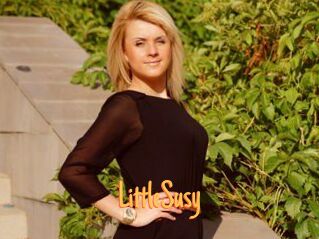 LittleSusy