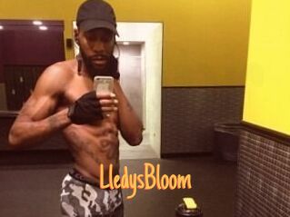 Lledys_Bloom