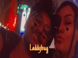 Laddybug