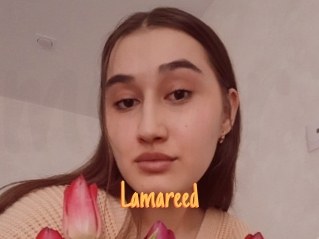 Lamareed