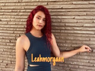 Leahmorgaan