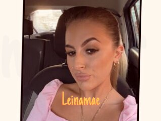 Leinamae