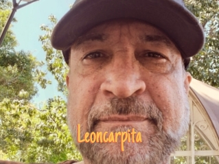 Leoncarpita