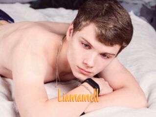liamamell Mobile Porno