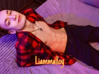 liammalloy Mobile Porno