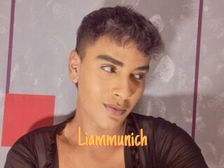 Liammunich