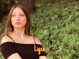 Ligea