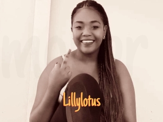 Lillylotus
