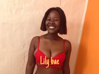 Lily_bae