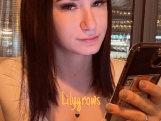 Lilygrows