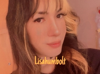 Lisahumbolt