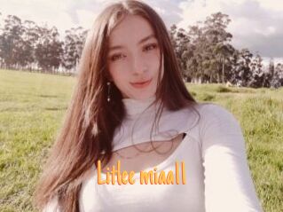 Litlee_miaa11