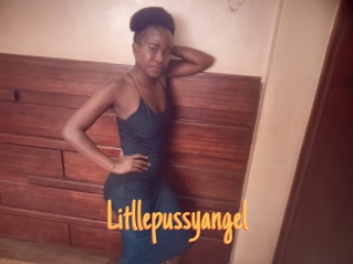 Litllepussyangel