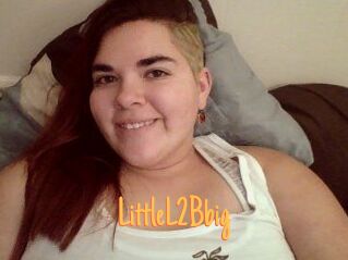 LittleL2Bbig