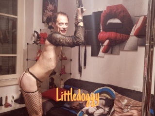Littledoggy