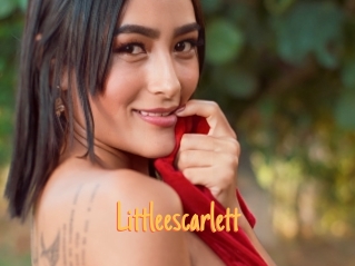 Littleescarlett
